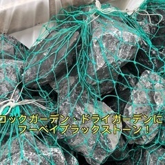 ロックガーデン！ドライガーデンに！フーベイブラックストーンの画像