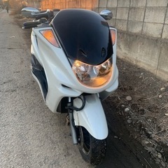 ヤマハマジェスティ250 実働！