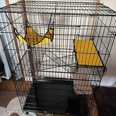猫ゲージ