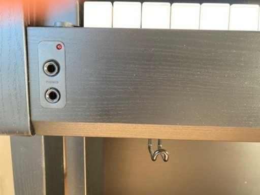 CASIO セルビアーノ　AP-460BK