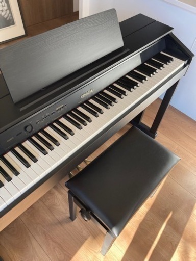 CASIO セルビアーノ　AP-460BK