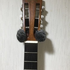 アコースティックギターレッスン　の画像
