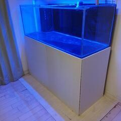 ガラスの水槽 1500x600x高さ550