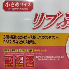 新品未使用 50枚入 小さめサイズ プリーツタイプマスク 5箱セットの画像