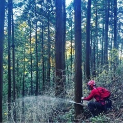 林業現場作業員（経験者）の画像