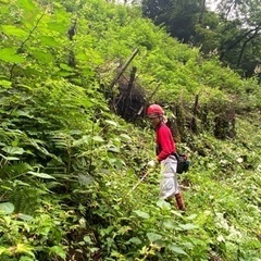 林業現場作業員（経験者）の画像