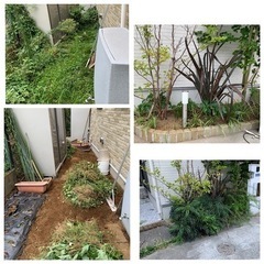 庭木の剪定承ります！お立ち会い不用！ - 地元のお店