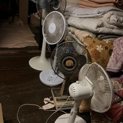 （2月3日金〜7日火）　家電家具処分の画像