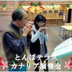 オカリナ初心者教室(対面、またはZOOM)の画像