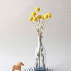 クラスペディアの画像