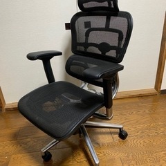 エルゴヒューマン　まとめ売り ⭐︎エルゴヒューマン・ベーシック（引き取り限定）⭐︎