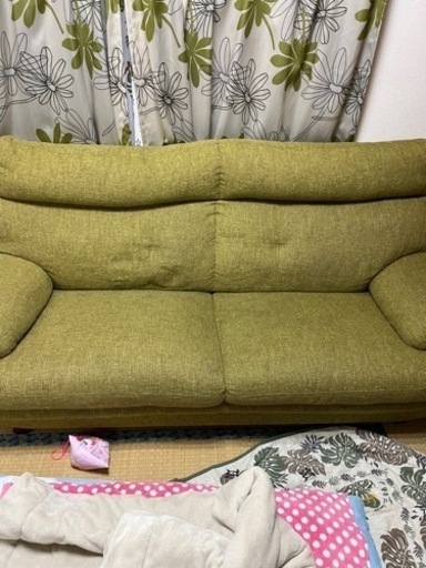 ソファニトリ