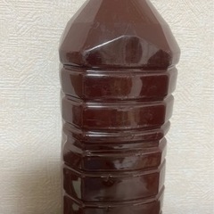 高濃度光合成細菌PSB ＰＳＢ　　2L 2本で1000円ですの画像