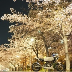 エイプ50　ボアアップ済み　価格交渉承ります。の画像