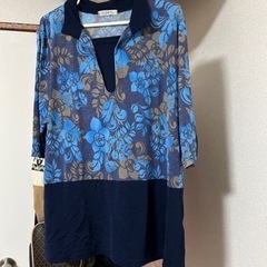 LLサイズチュニック2枚の画像