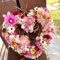 アンモビューム　jpa@の画像