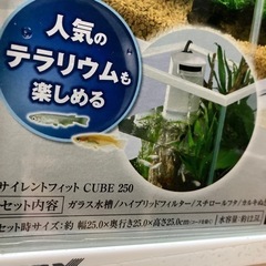 25キューブ水槽の画像