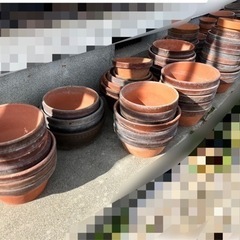 【あげます】植木鉢いろいろ②