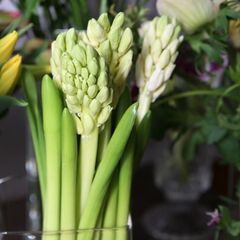 最初のフラワーデザイン　パラレル　平行に束ねるの画像
