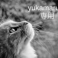 猫餌