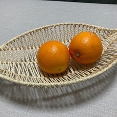 お菓子や果物盛り付けに新品の画像