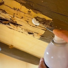 シロアリ駆除工事