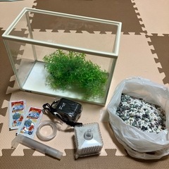 水槽セット