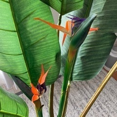 大型 フェイクグリーン 観葉植物  籠付き の画像