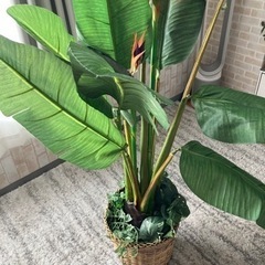 大型 フェイクグリーン 観葉植物  籠付き の画像