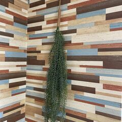 N-15 ウォールミラー、タペストリー、グリーンの画像