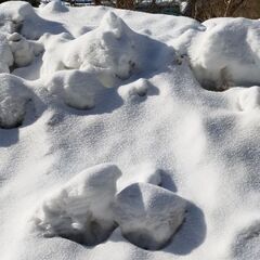屋根の雪が積もりましたね　お安く　お手伝いをさせてください　お家...