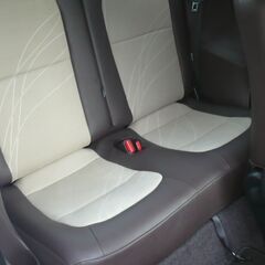 ★美車★２１年式★IQ １００Gレザーパッケージ★ナビ＆地デジTV★バックモニター★ETC★車検６年１月の画像