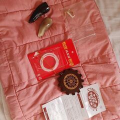 ハードケース付