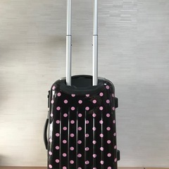 キャリーバッグの画像