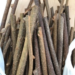 【無農薬キウイ🥝】小動物への木かじりに❣️400gの画像