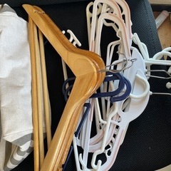 取引中)無料で洗濯ハンガー　突っ張り棒 1本と布製カバン3点セットの画像