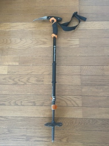  ウィペットポール