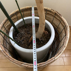 植木鉢カバー　バスケットの画像