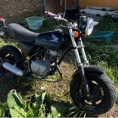 エイプ50fi