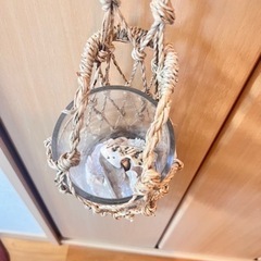 インテリア花瓶　（小）マクラメネット入り　オーストラリアの貝殻入ってます✨の画像