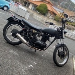 250TRの画像