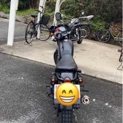 250TRの画像