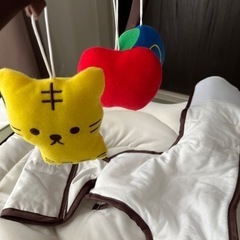 (決まりました)バウンサー 西松屋・おやすみたまごの画像