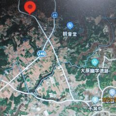 薪活人募集5名、、2月１日午後から薪活出来ます。メタセコイヤ（落...