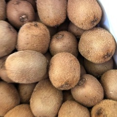 【無農薬】キウイ🥝　ジャム&ジュース用💕4キロ単位❣️の画像