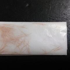 食虫植物ウツボカズラ（交配種）の種子10粒の画像