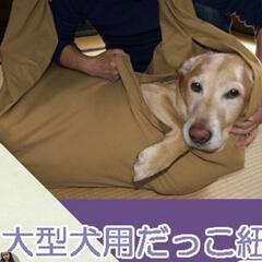 犬用　スリング