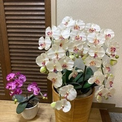 胡蝶蘭の造花2点セットの画像