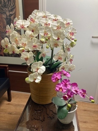 胡蝶蘭の造花2点セット