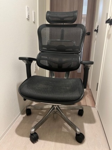 【13.2万】エルゴヒューマン プロ